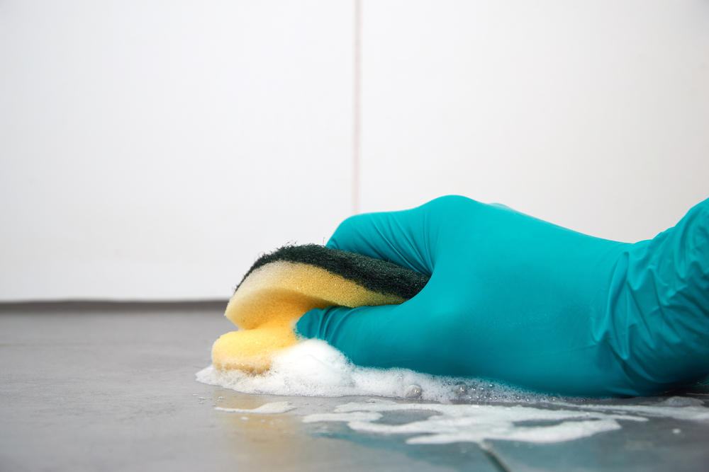 Hiring a Cincinnati Home Cleaning Service is a Blessing